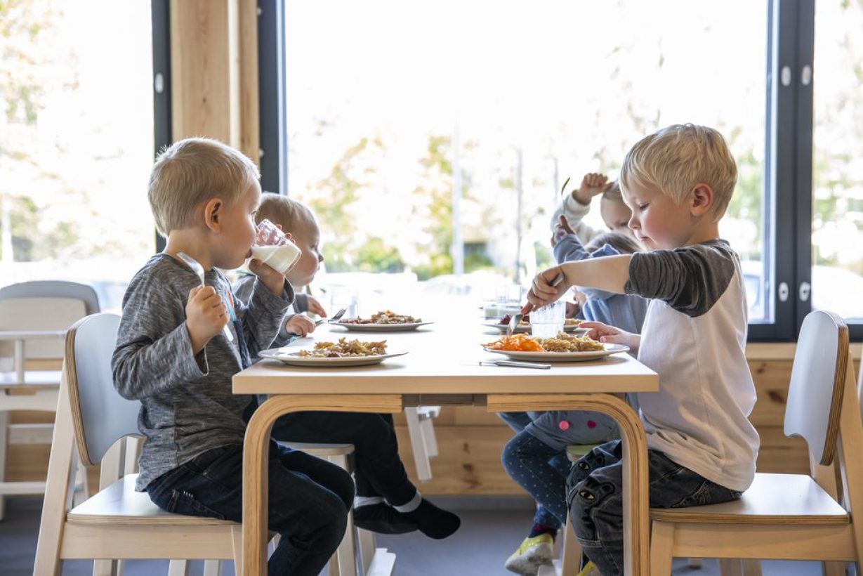 Honkarakenne: Pilke-päiväkodit